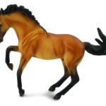 Brauner Lusitaner Hengst Buckskin mit schwarzer Mähne