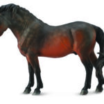 schwarz braunes Dartmoor Pony Bay