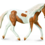 braun/weiß gefleckte Pinto Stute Palomino