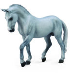 grauer Trakehner Hengst