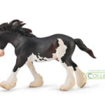 Clydesdale Hengst Schwarz Sabino von Collecta